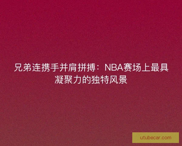 兄弟连携手并肩拼搏：NBA赛场上最具凝聚力的独特风景